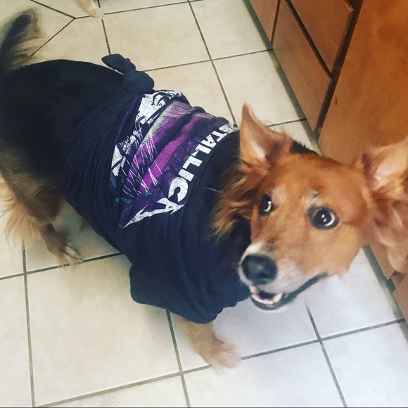 Meet your Posher, Nicole - Picture 2 of 3